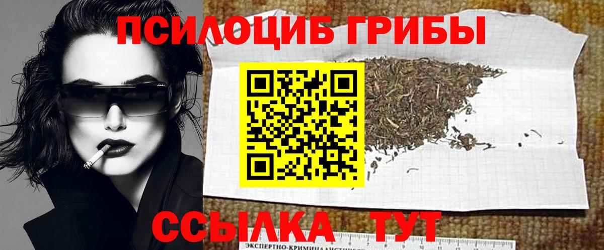 Галлюциногенные грибы мицелий  Вход с VPN  Чебоксары 