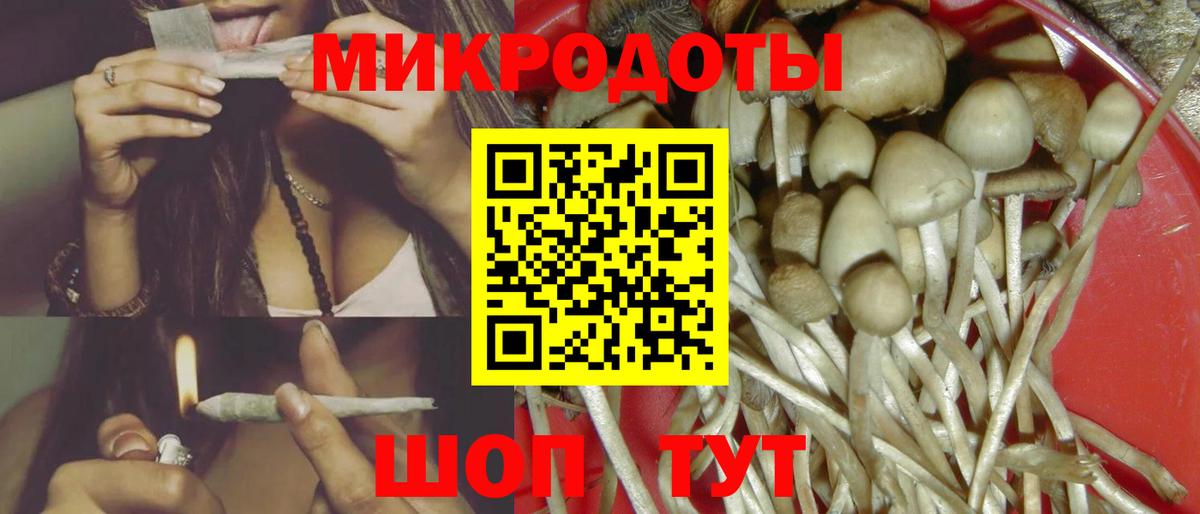 Псилоцибиновые грибы MAGIC MUSHROOMS Чебоксары